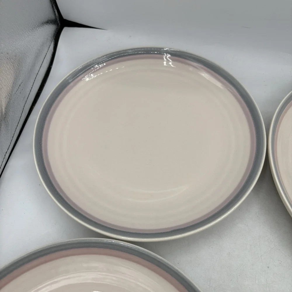 Vintage Pfaltzgraff Dinner Plates 10